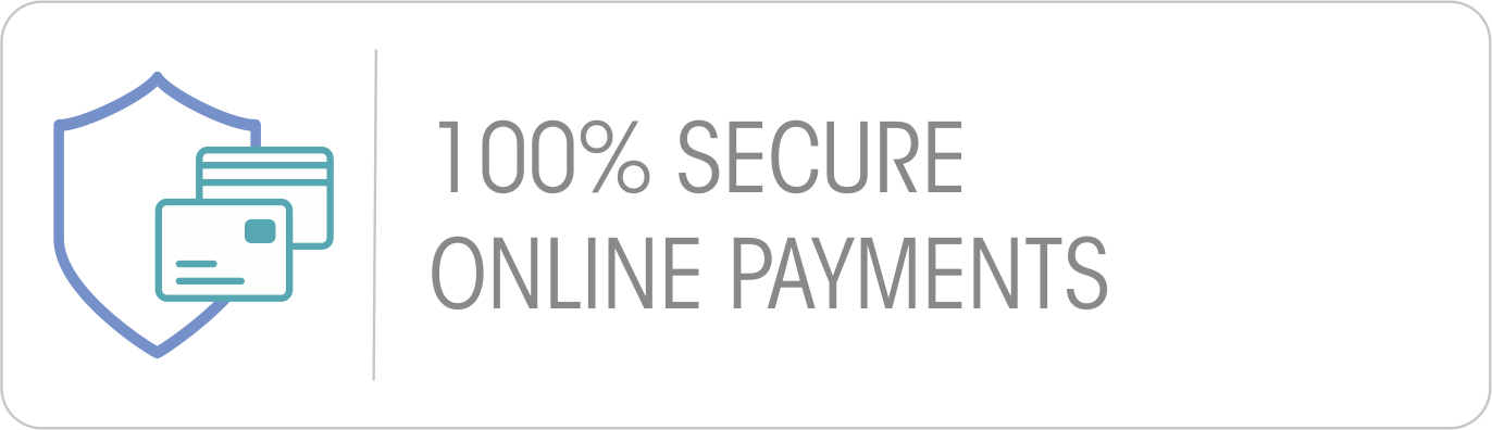 100% secure online payments