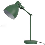 Adjustable Armature Desk Lamp