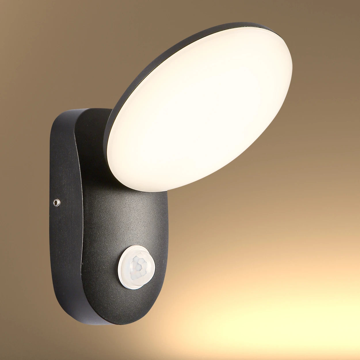 Black UFO LED Outdoor Wall Light with PIR Sensor
