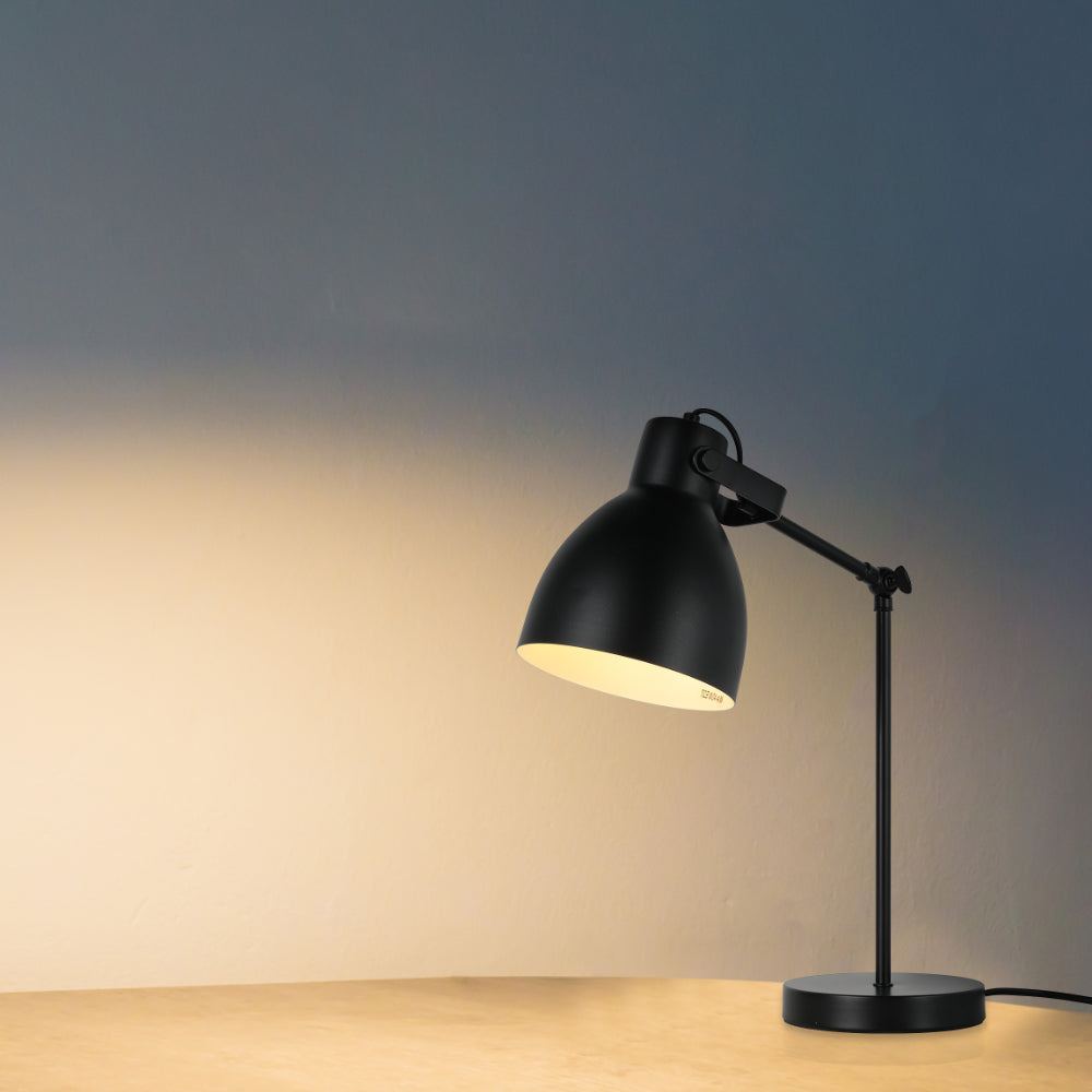 Adjustable Armature Desk Lamp