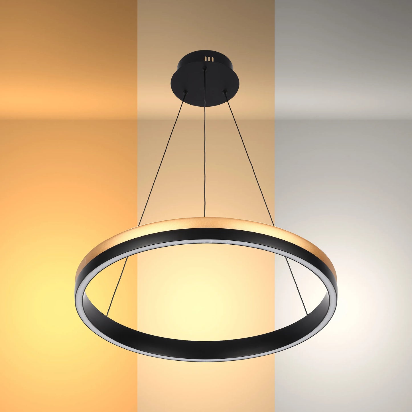 A modern circular LED pendant light with a black and gold finish, suspended from the ceiling by thin cables.