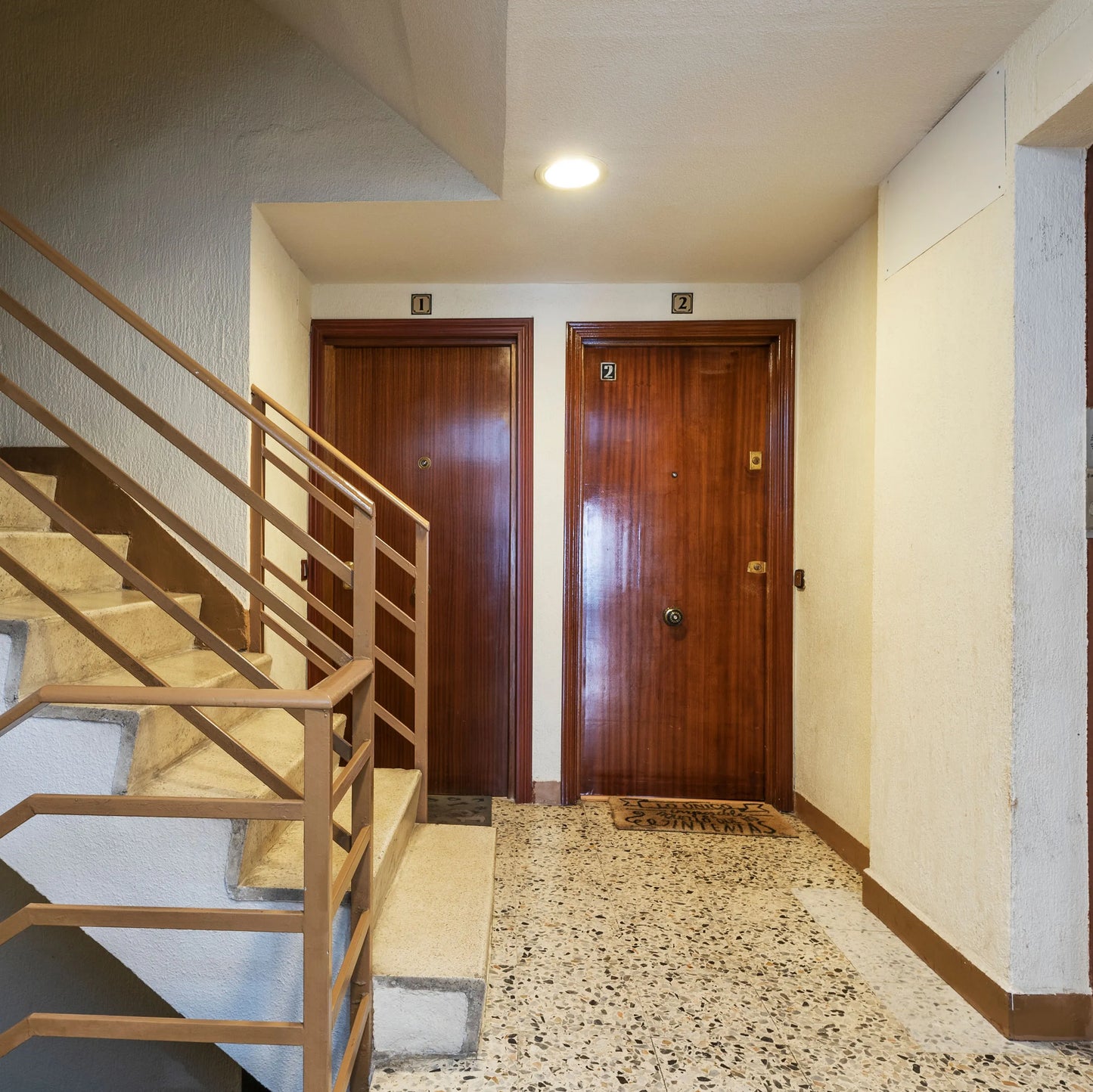 A warm, recessed ceiling light illuminates a hallway with two wooden doors. Natural light also gently fills the space.
