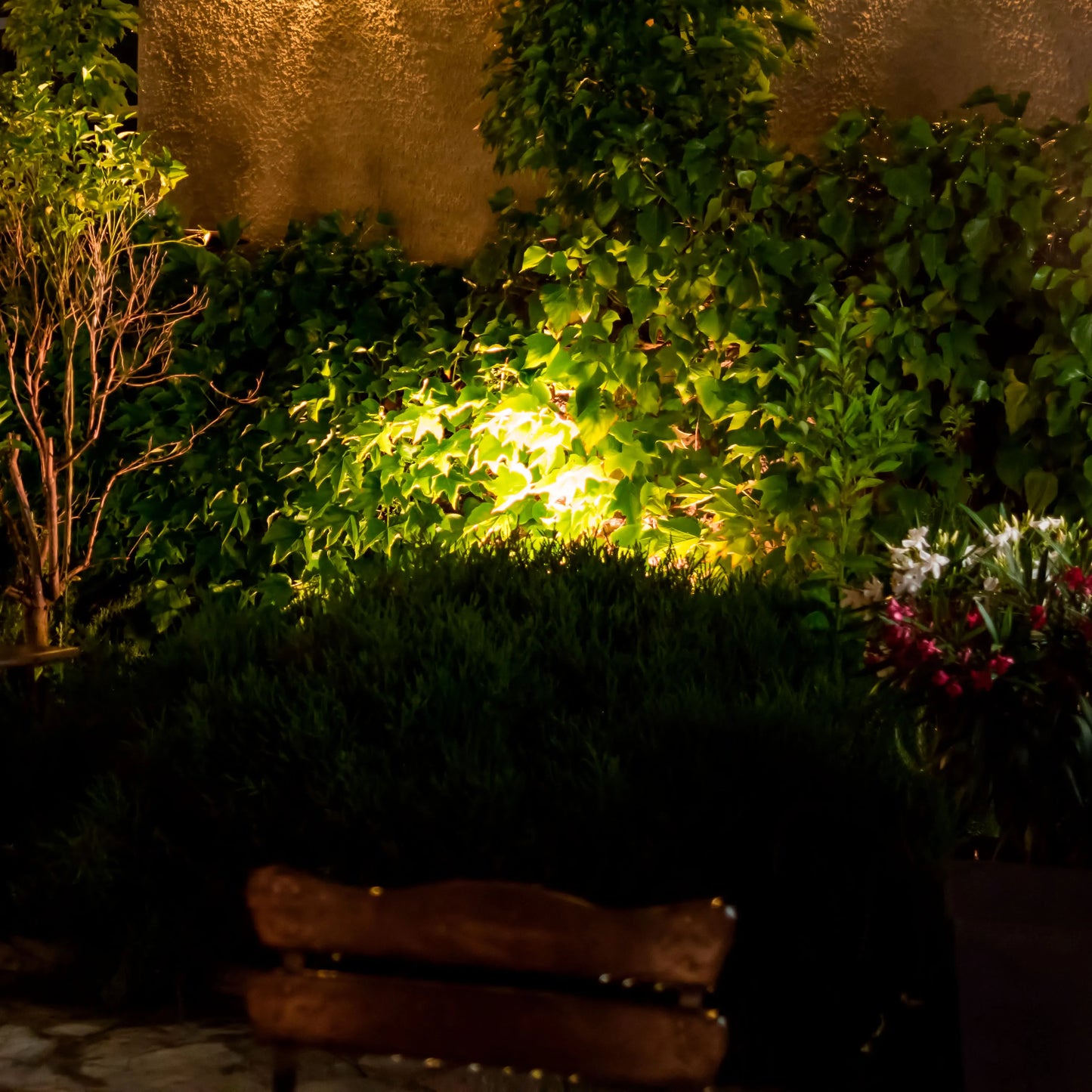 Dramatic garden lighting illuminates lush greenery against a textured wall, creating a warm and inviting ambience at night.
