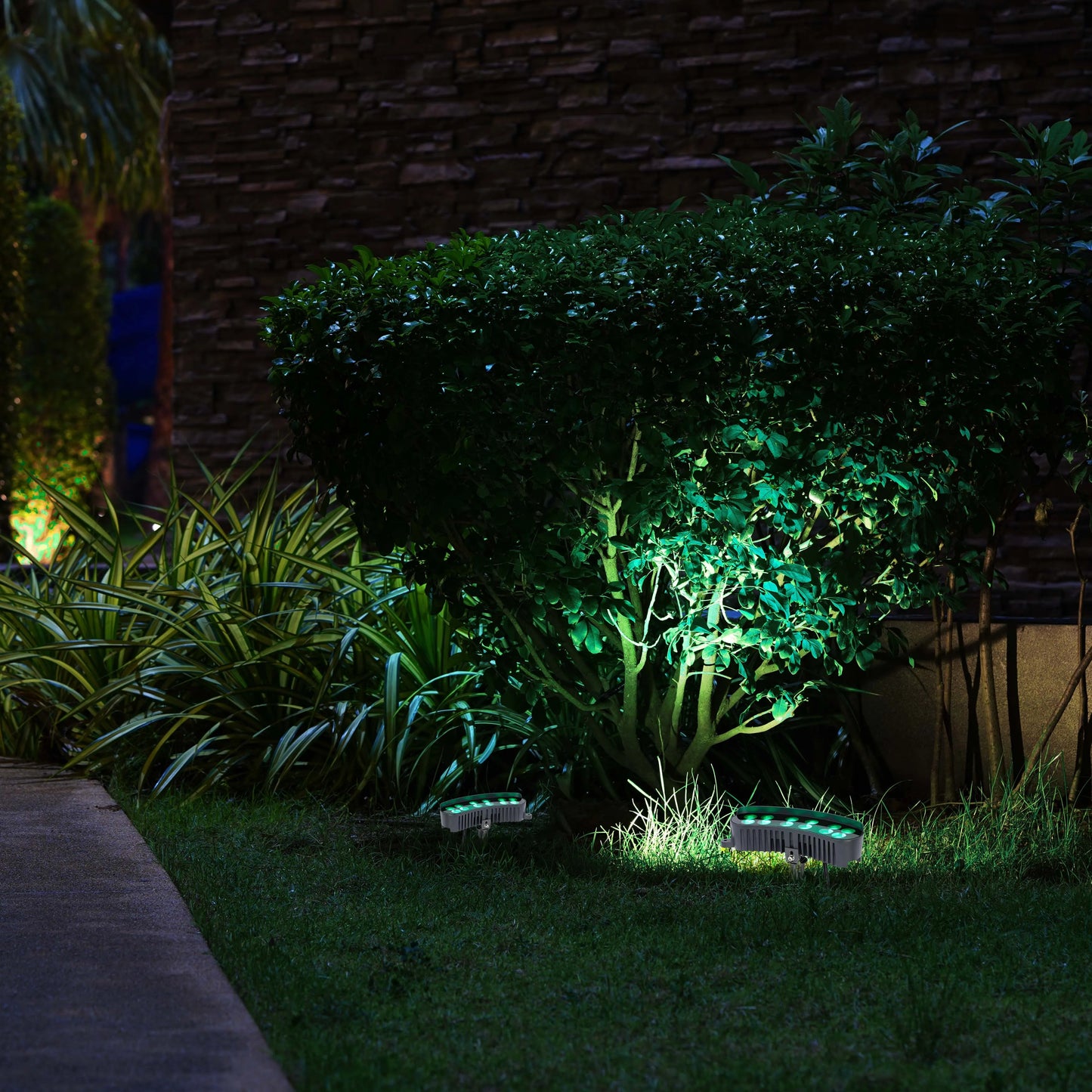 Outdoor lighting spotlights greenery. Two ground lights illuminate a garden at night, creating a vibrant, atmospheric display.