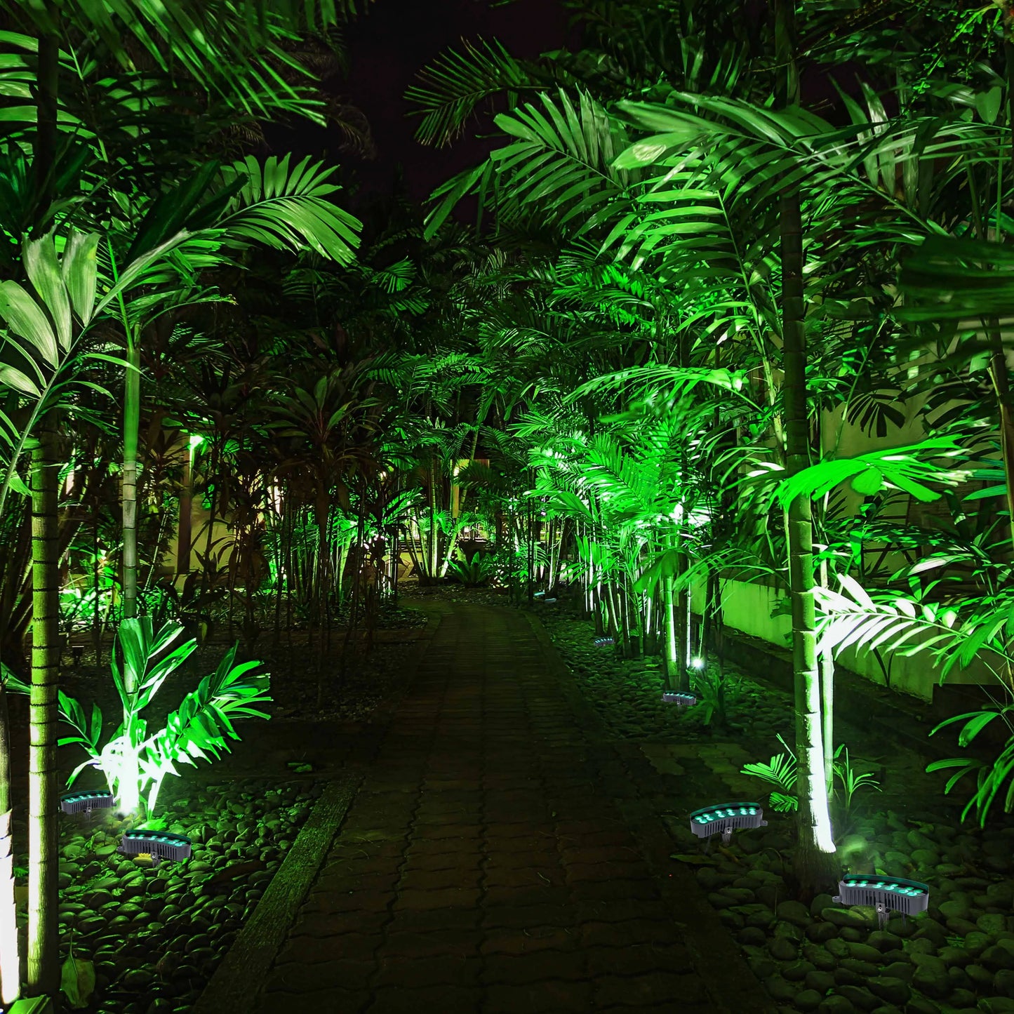 Outdoor lights illuminate a brick pathway through lush, green vegetation at night. Highlighting trees and foliage.