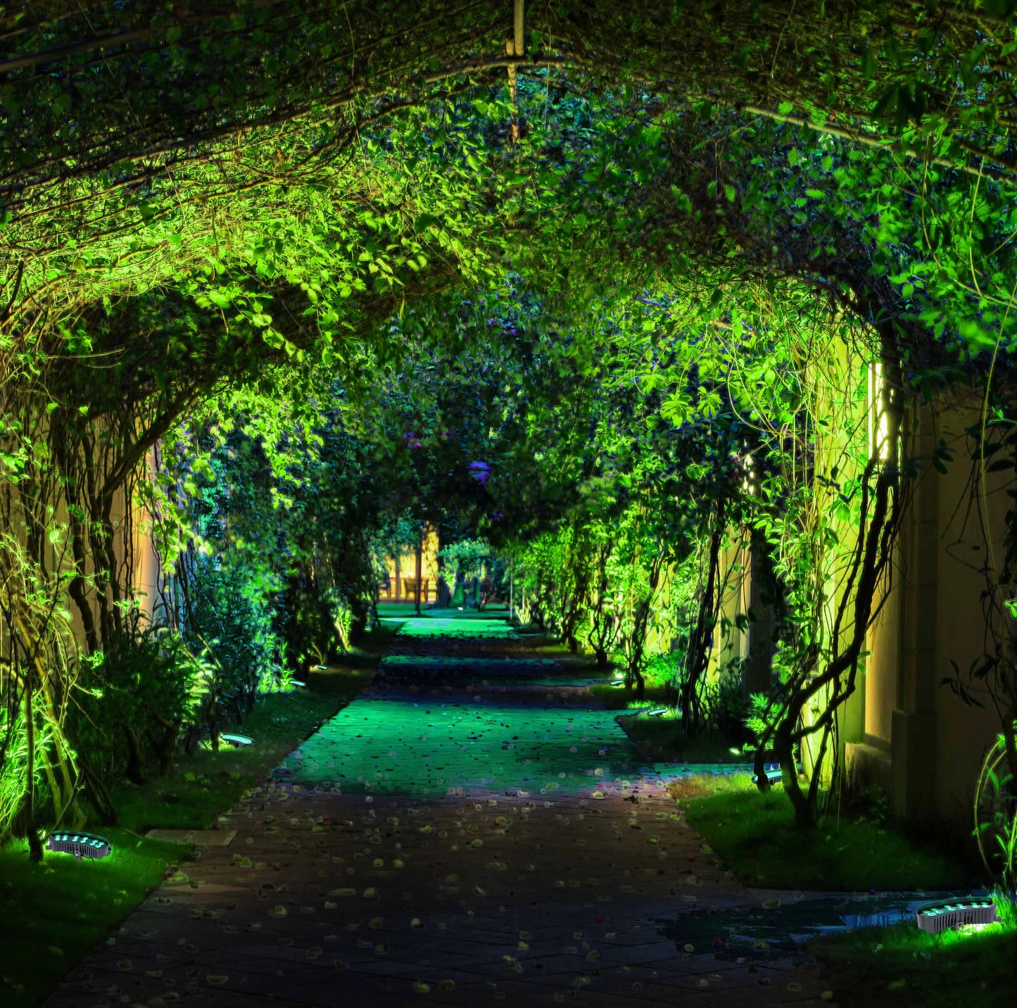 A verdant tunnel, illuminated with bright, vivid green lighting, creating an enchanting outdoor ambience.
