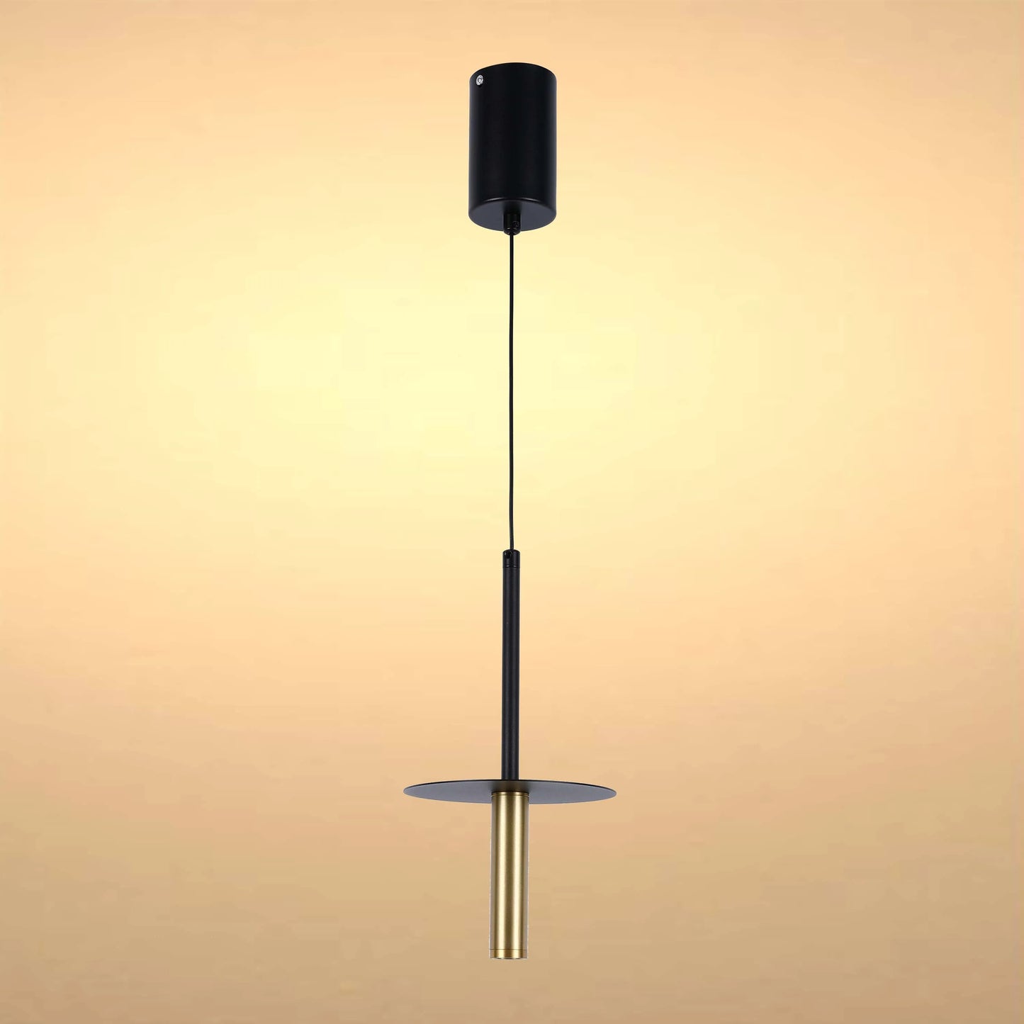 A sleek, minimalist pendant light with a black fixture and a gold cylindrical lamp. Modern design for ambient lighting.