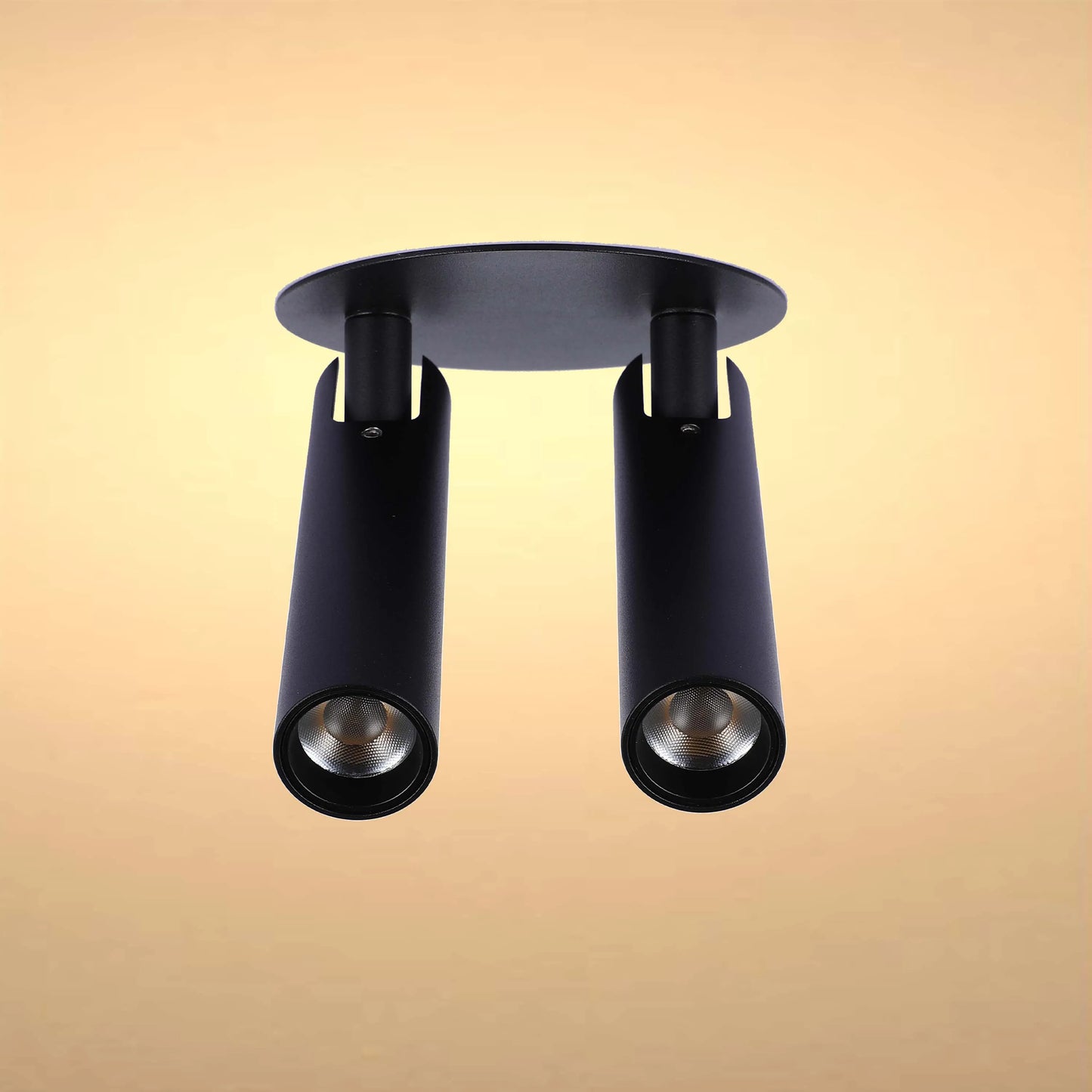 A black, two-bulb ceiling light fixture with cylindrical spotlights. Modern and minimalist design against a soft gradient backdrop.
