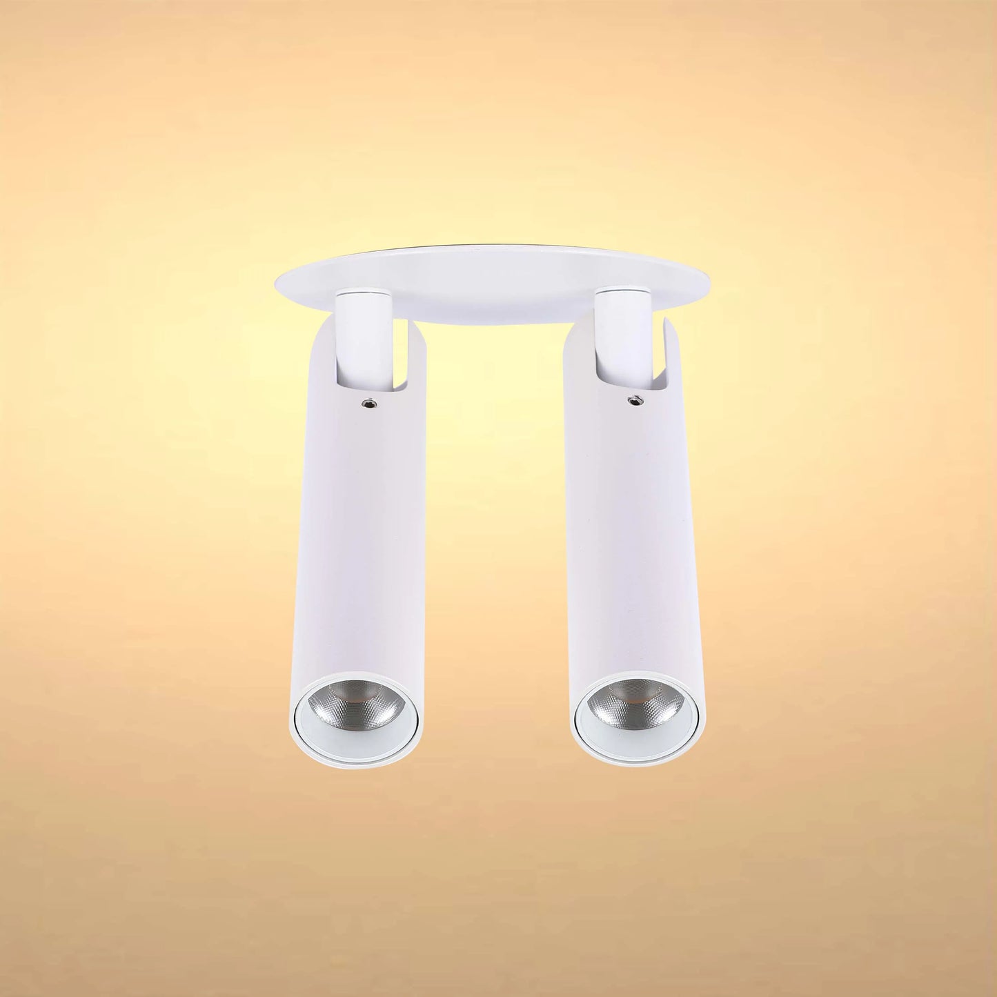 A white, two-headed ceiling spotlight with cylindrical heads, offering directional light for contemporary spaces.