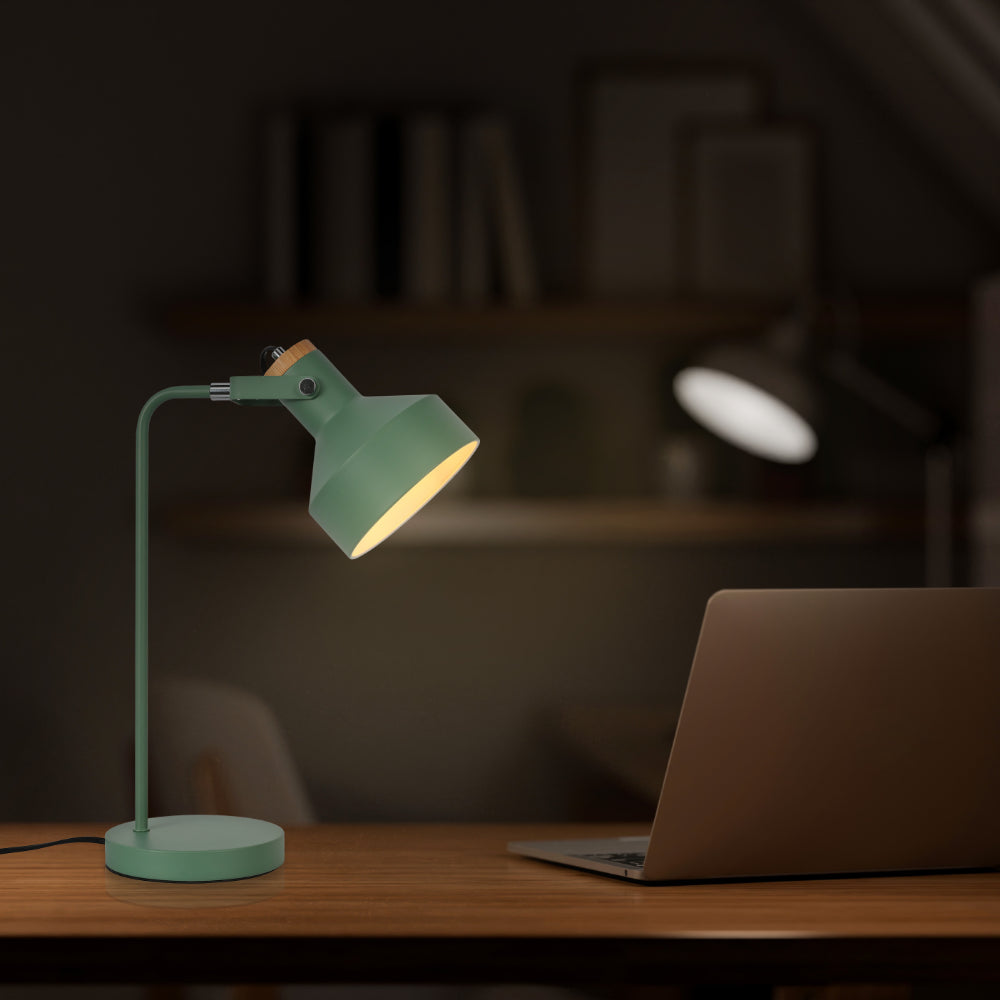Modern Desk Lamp with Wooden Accent