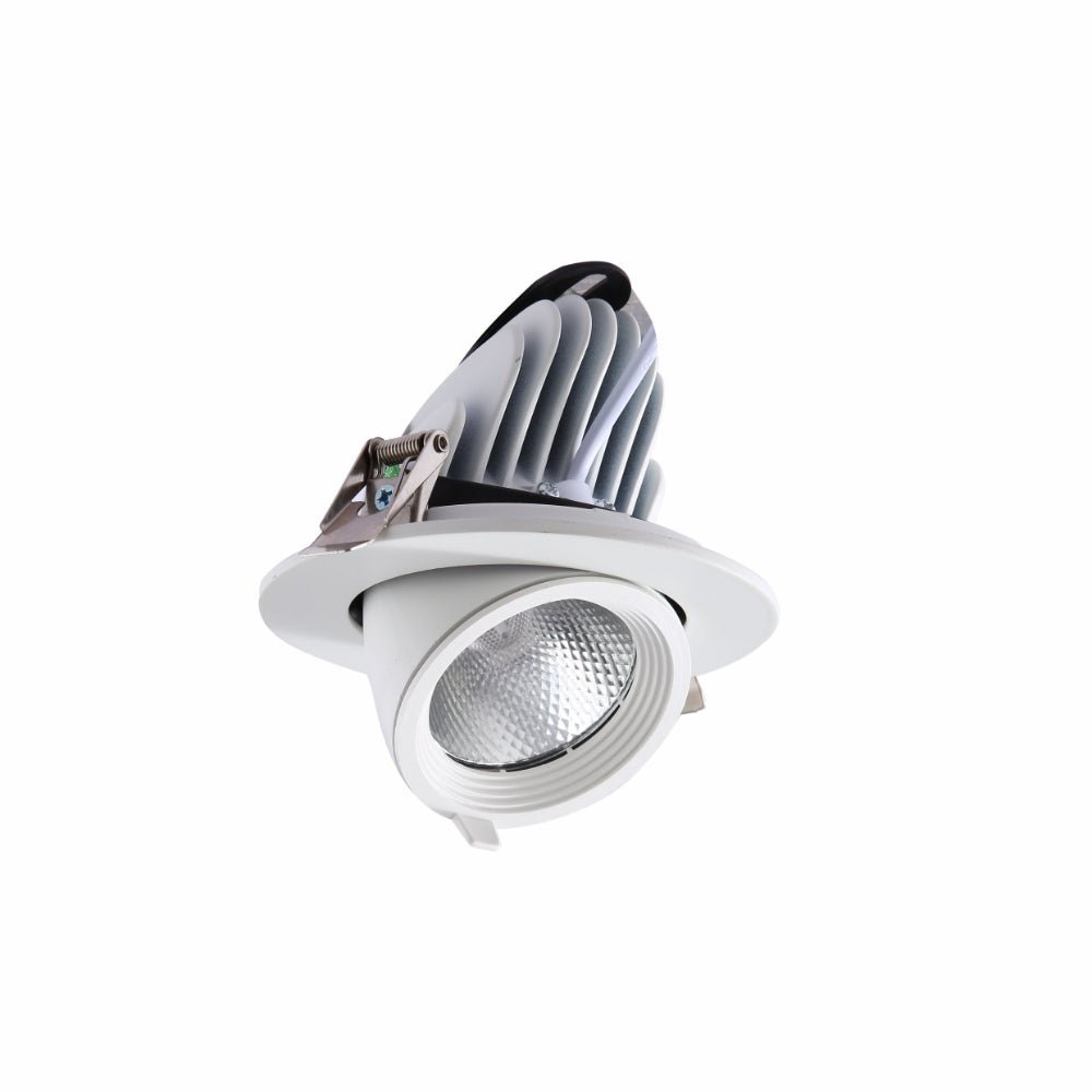 Main image of LED Accent Performance Swivel and Scoop Downlight 10W 20W 30W Warm White Cool White Cool Daylight CRI90 White | TEKLED 165-03807