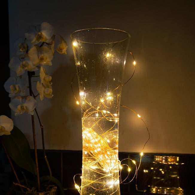 Mensa 2 Sets of Micro-LED 100 LEDs 10m with Battery Pack & Remote Control Warm White LED String Fairy Light in indoor use