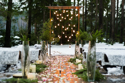 What are Festoon Lights? - TEKLED UK