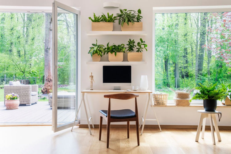 What is Natural Lighting?