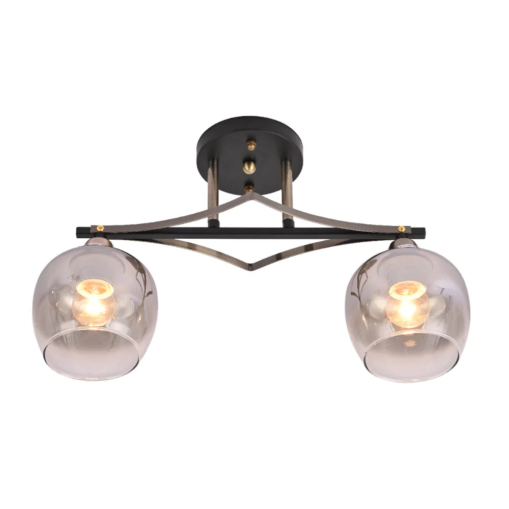 2 Light Ceiling Lights