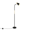 Bend Design Floor Lamp with Gold Accents - E27