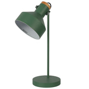 Modern Desk Lamp with Wooden Accent