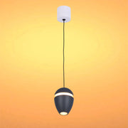 Acorn LED Pendant Downlight with Cove Lighting Effect 10W Warm White