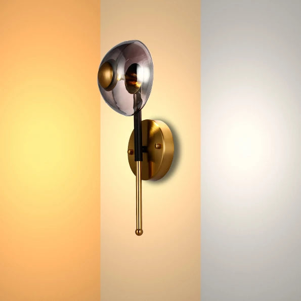 Smoked Glass and Gold Wall Light