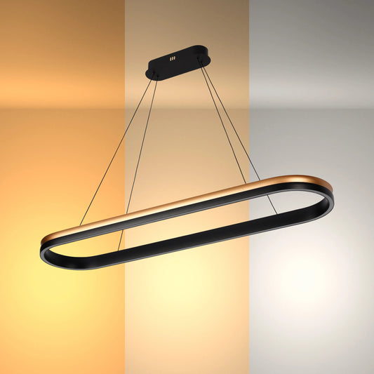 Black and Gold Modern LED Pendant Light - Single, Double, Triple Tier and Oblong