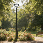 Commercial LED Outdoor Area Light, Selectable 60W-100W & 3CCT, IP65