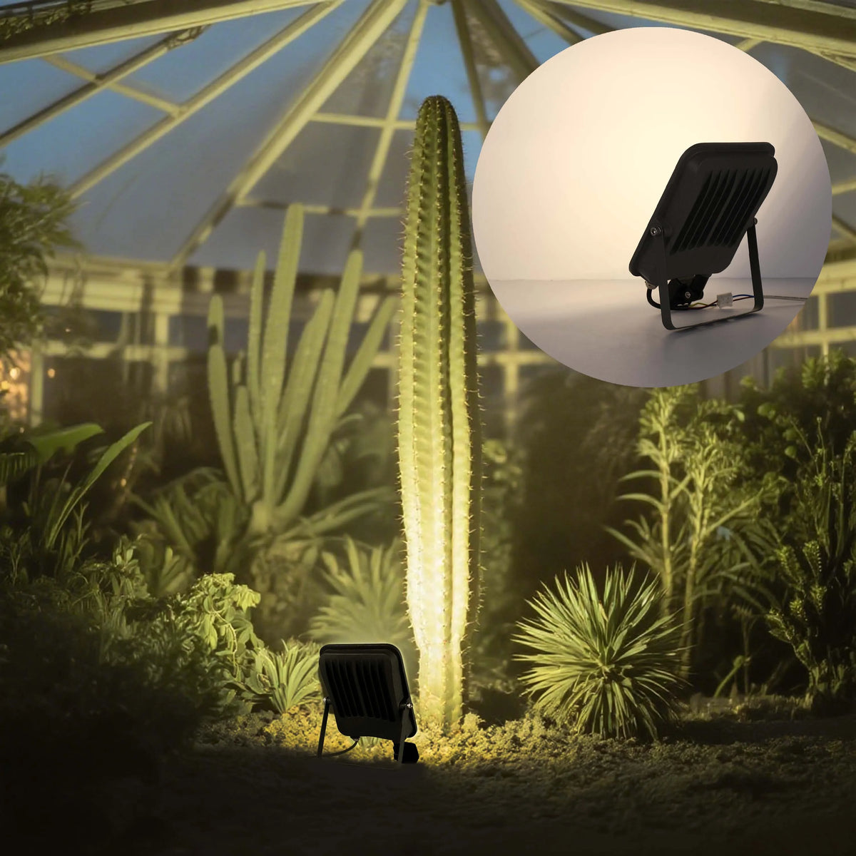 Outdoor garden lights illuminating plants, including a large cactus, in a greenhouse. Energy-efficient LED flood light.