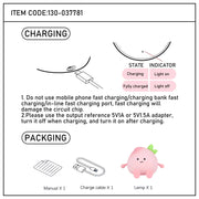 Peach lamp user manual showing the charging port, charging cable and light indicator, showing charging and fully charged states.
