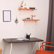 A room is illuminated by a sleek, globe-shaped wall light with a brushed silver finish, creating a modern ambiance.