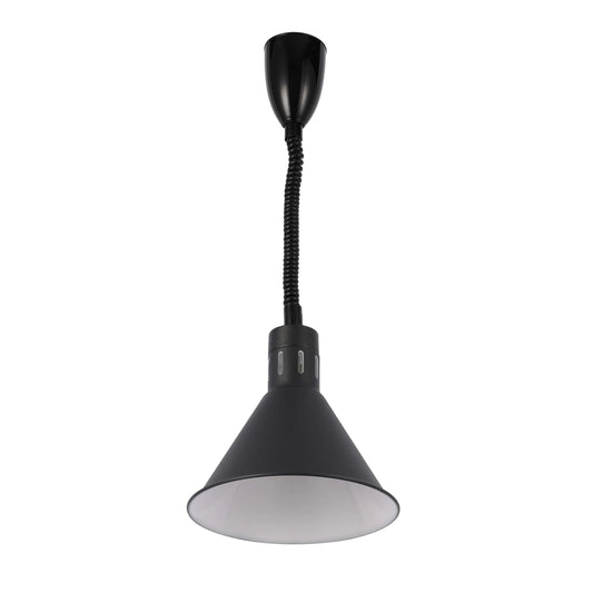 Black Pendant Light with Coiled Stem