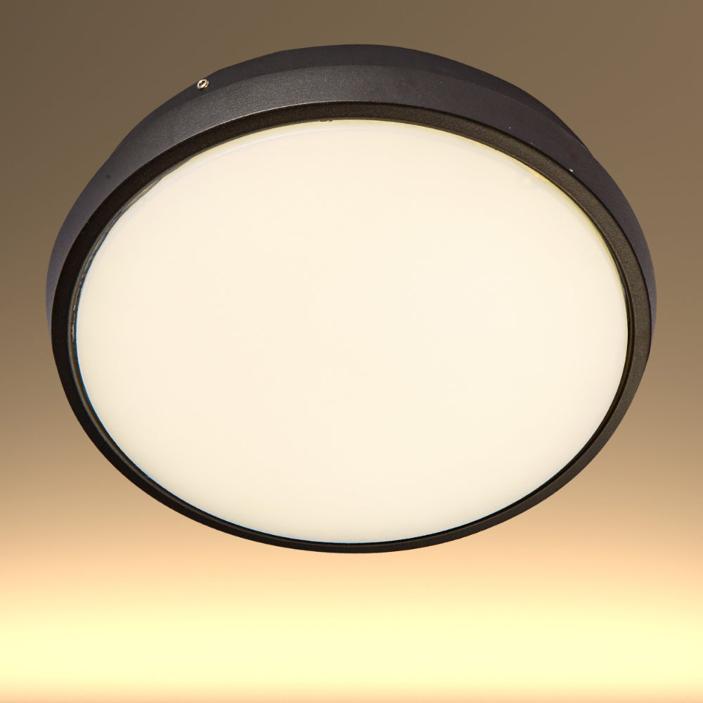 Black Ring Moonlight Outdoor Modern LED Wall Light 3