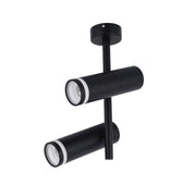 A black two-light spotlight fitting, with adjustable heads, mounted flush to the ceiling.