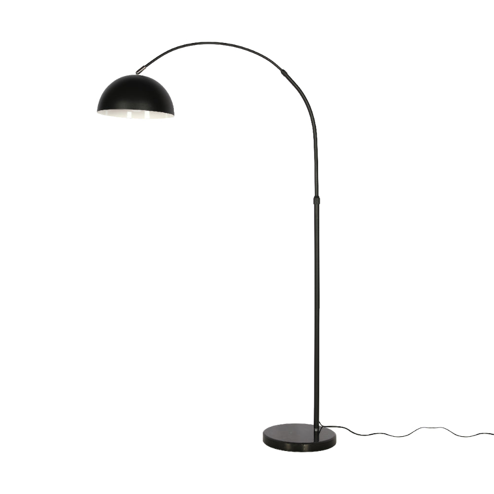 Curved Arc Floor Lamp with Rotatable Dome Shade in Black