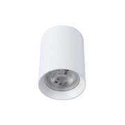 A white, cylindrical, ceiling downlight is shown against a white background.