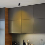 A modern kitchen with a spotlight on the ceiling and LED strip lighting under the cabinets. Dark grey cabinets provide overhead storage.