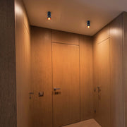 A pair of black cylinder downlights provide general illumination in this hallway. They feature warm-toned light and subtle detailing.