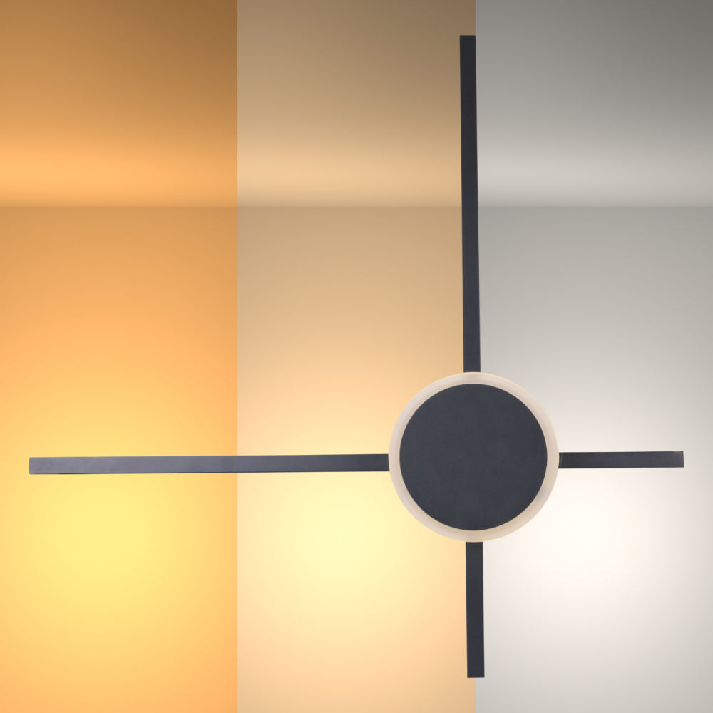 Dual-Function Radiant LED Light Wall or Ceiling Light 2