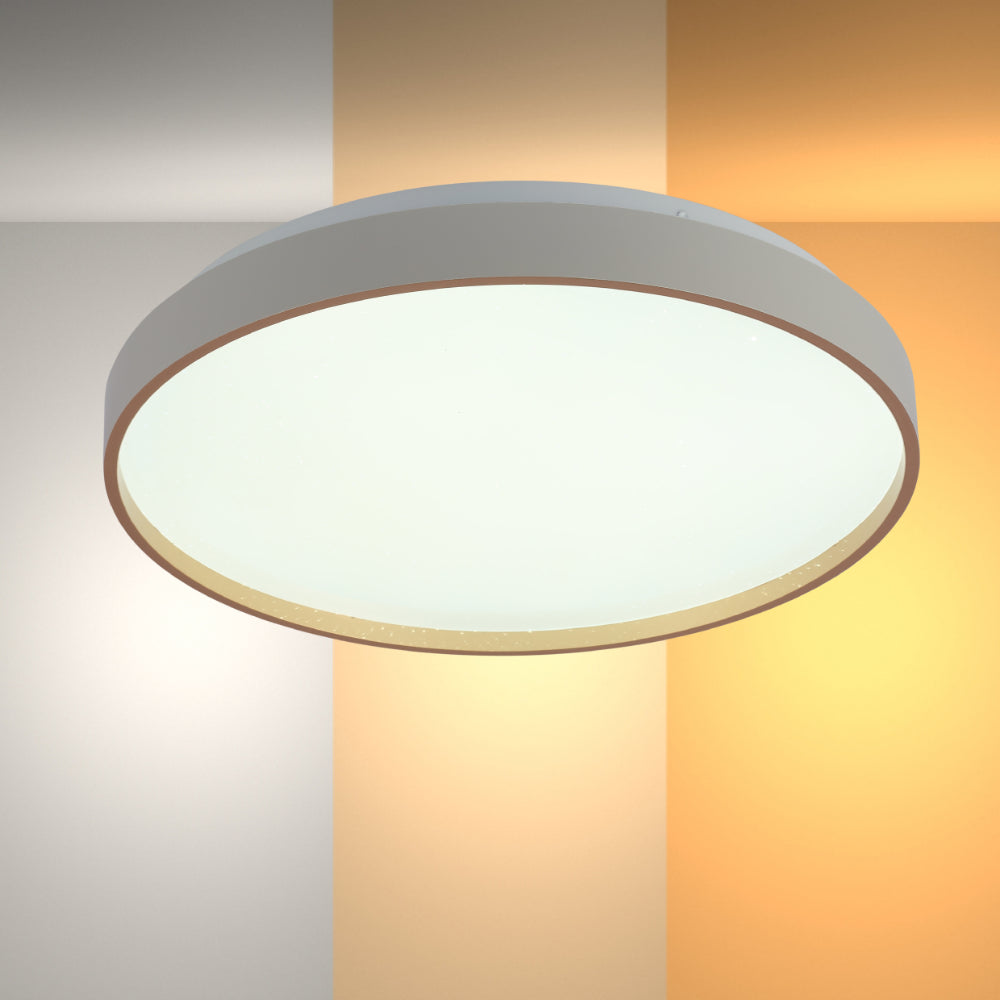 Stylish Modern Flush Mount LED Ceiling Light for Living Room and Bedroom