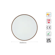 Elegant Contemporary Flush Mount LED Ceiling Light, LED Flush Ceiling Light, TEKLED 10