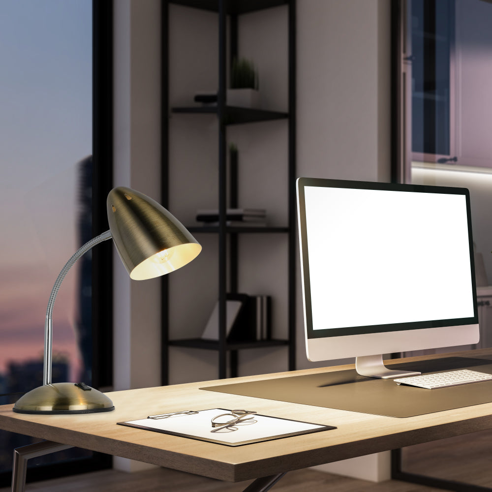 Flex Neck Metal Desk Lamp 10