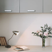 Flex Neck Metal Desk Lamp 6