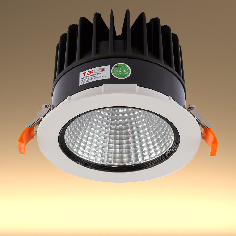 LED COB Recessed Fixed Downlight P1 30W Cool White 4000K White 1