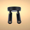 A modern, black, two-light ceiling spotlight, perfect for a contemporary interior lighting scheme.
