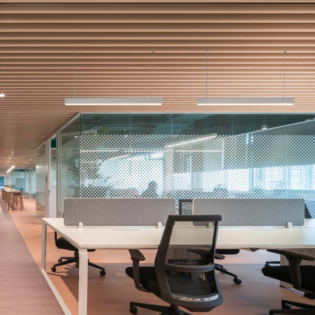 Contemporary office lighting. Linear suspended lights illuminate an open plan workspace with a wooden slatted ceiling.