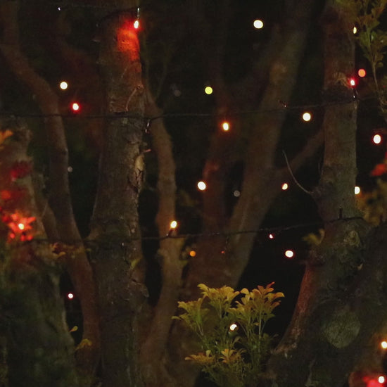 multi colour soalr fairy light solar festoon light 