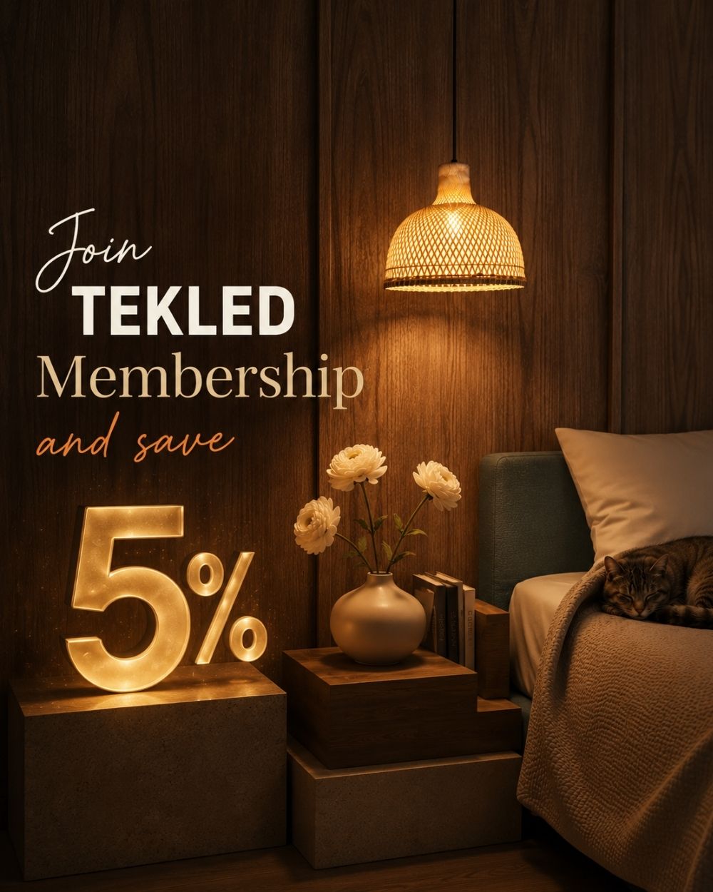 TEKLED lighting offer