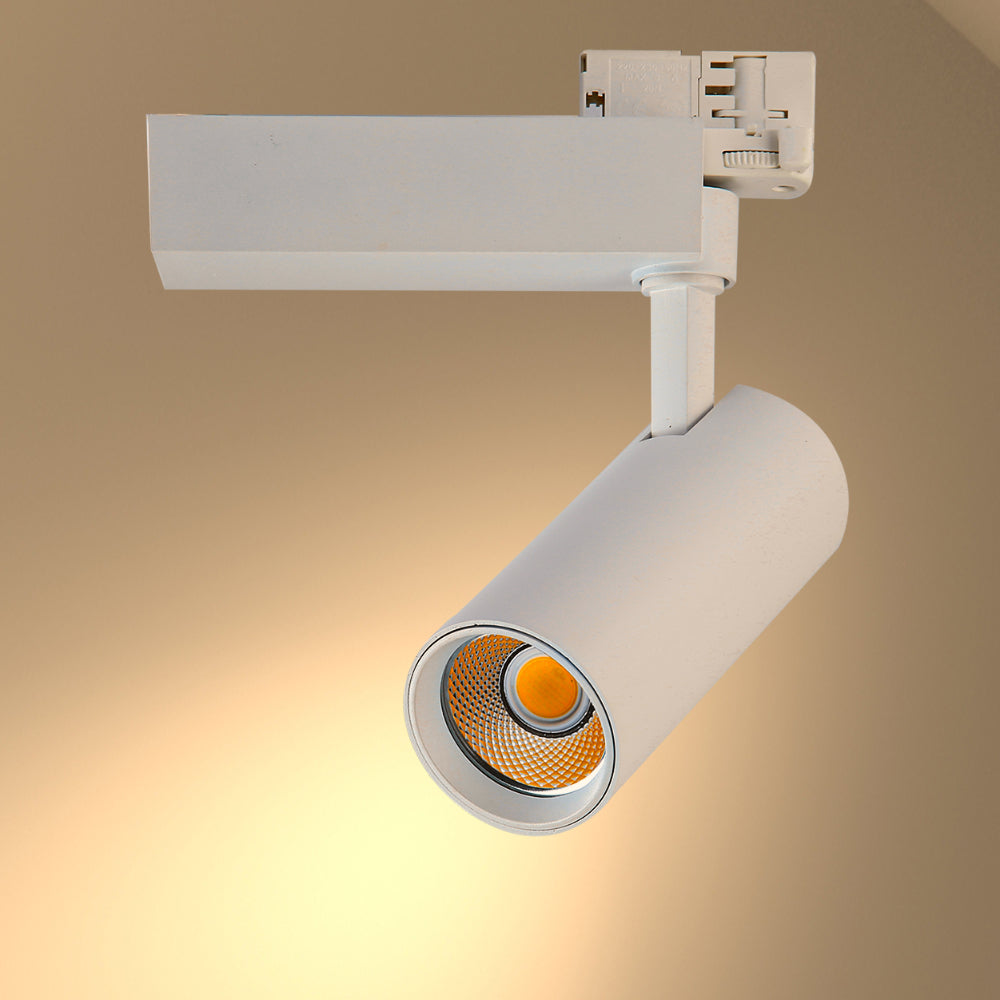 Tracklight 5-wire 3-Line 20W Cool White 4000K 1