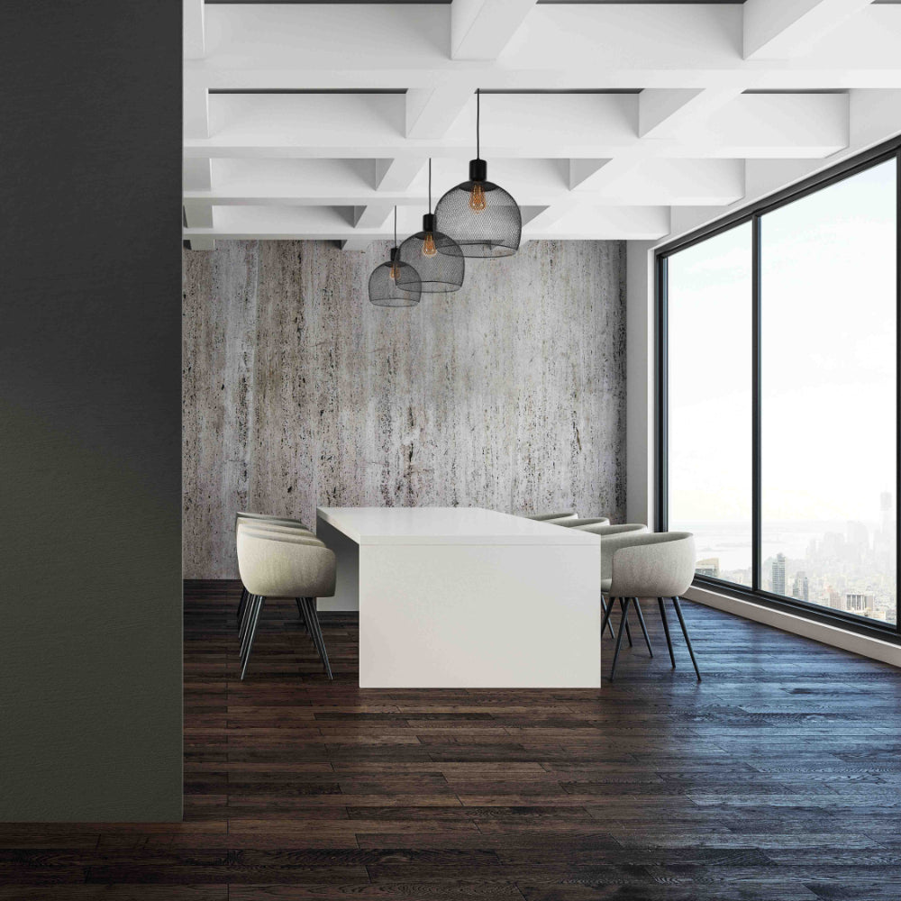 Wire Mesh Industrial Dome Pendant Ceiling Light  grande is in Study room or meeting room or library