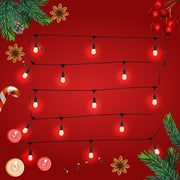 genral view of pollux festoon light set 15  bulbs