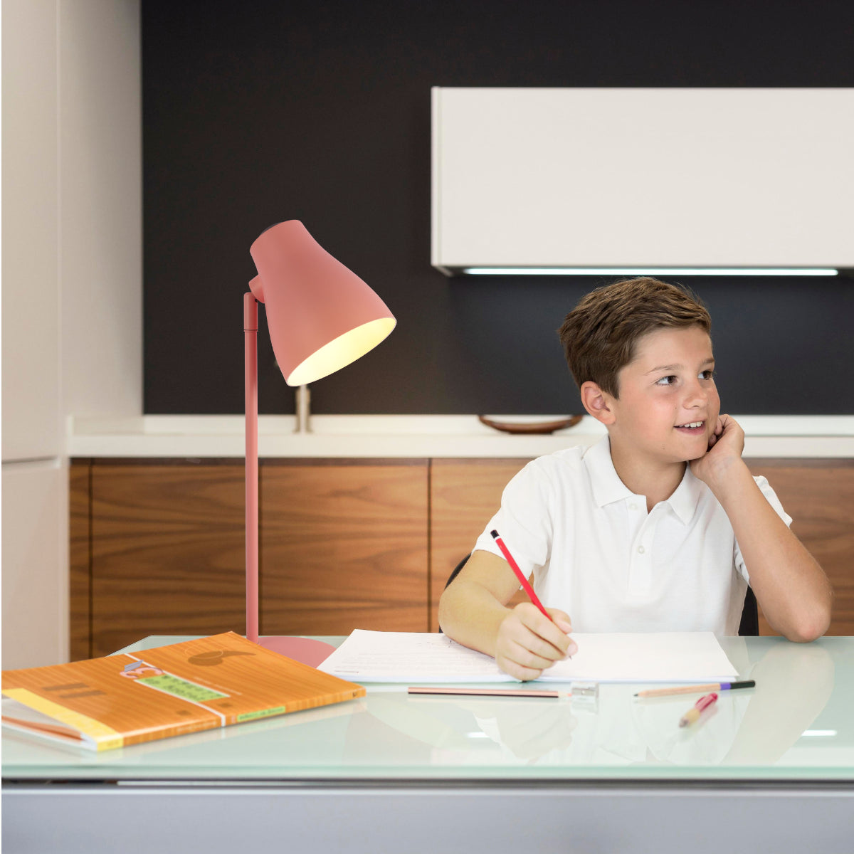 Elegant Rotatable Desk Lamp in Assorted Colors 130-03656 in play