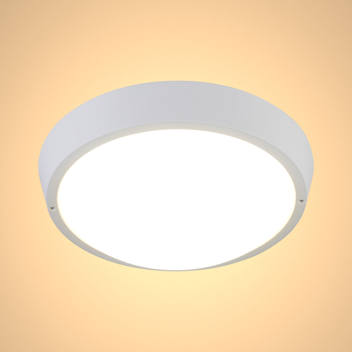 Main image of LED Bulkhead Light IP65 Ceiling Wall Interior Exterior 4000K White 181-15364